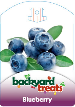 Backyard Treats - Boysenberry
