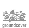 groundcover