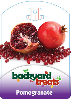 Backyard Treats -Pomegranate