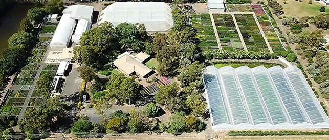 Ausplant Nursery, Backyard Treats, Darling Downs Turf, Dalby Queensland